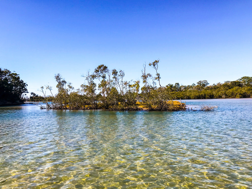 Stand up paddle boarding on Tallebudgera Creek, Gold Coast