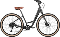 Bike Hire Gold Coast - Adult Cruiser